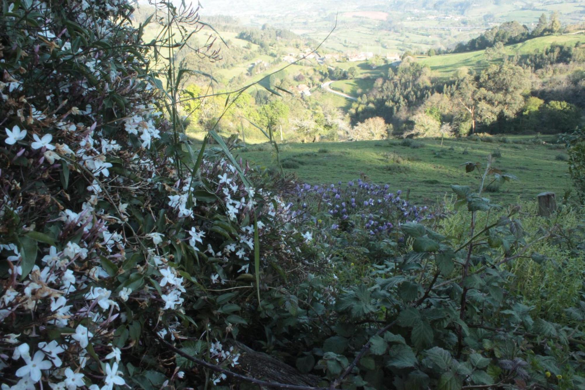 Alojamientos Rurales Pena Crespa Tresvilla Exteriér fotografie